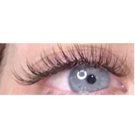 Lashes (Classic) - Rehab
