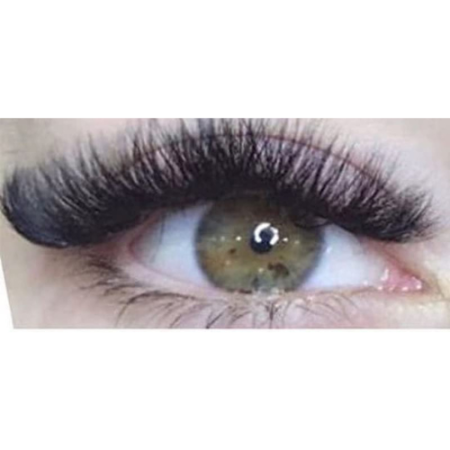 Lashes (Medium) - Rehab